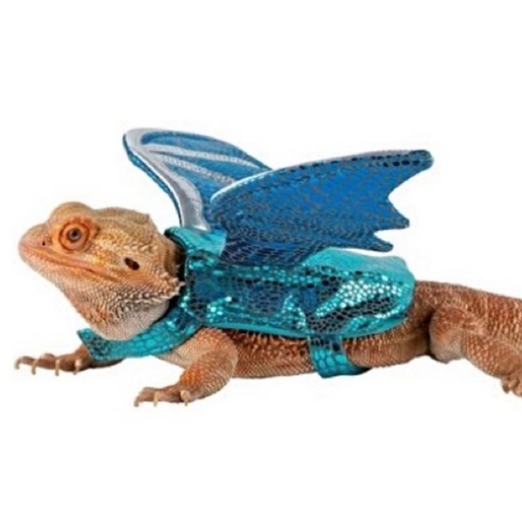 Bearded Dragon - Dragon costume - Picture 3 of 3